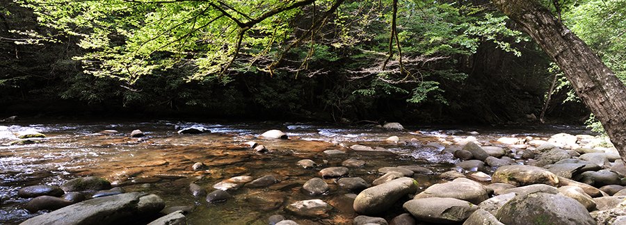 River scene - Kevin Kilhoffer