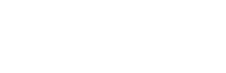 Sarah Bush Lincoln