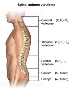 Lumbar Spinal Stenosis