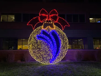 Ornament.jpg