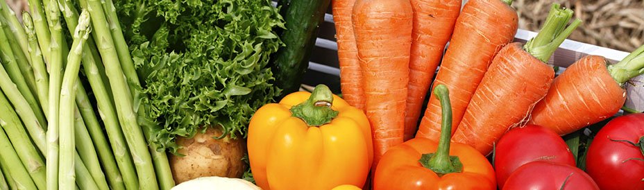 veggie cover.jpg
