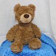 Large Teddy Bear