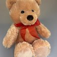 Promo Bear