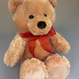 Promo Bear